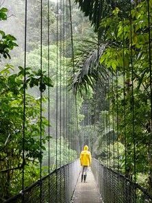 A bridge in Monteverde cloud forest, Costa Rica